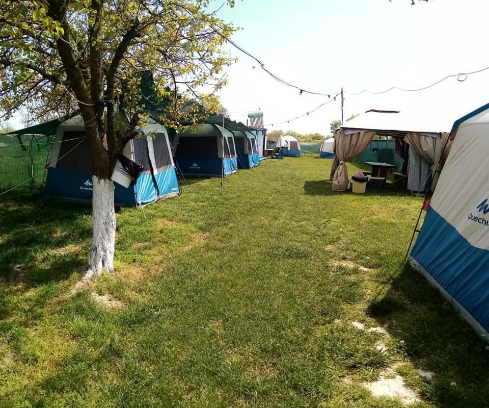 Camping Casuta Mihaela Crisan  Exterior photo