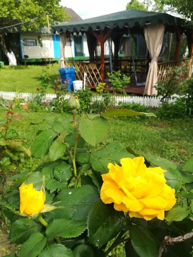 Camping Casuta Mihaela Crisan  Exterior photo