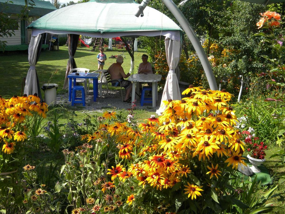 Camping Casuta Mihaela Crisan  Exterior photo